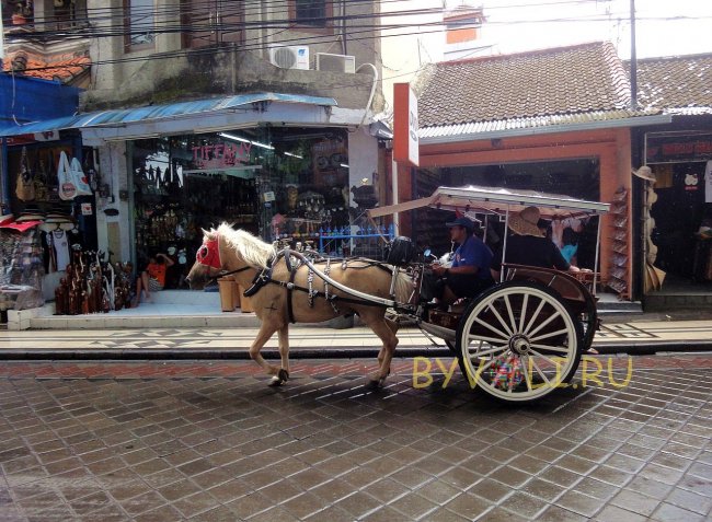 Повозка с лошадью на Бали