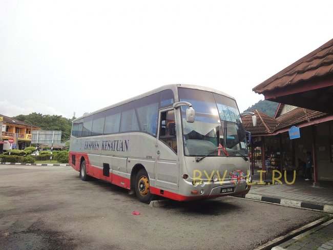 Автобус Куала-Лумпур - Лумут
