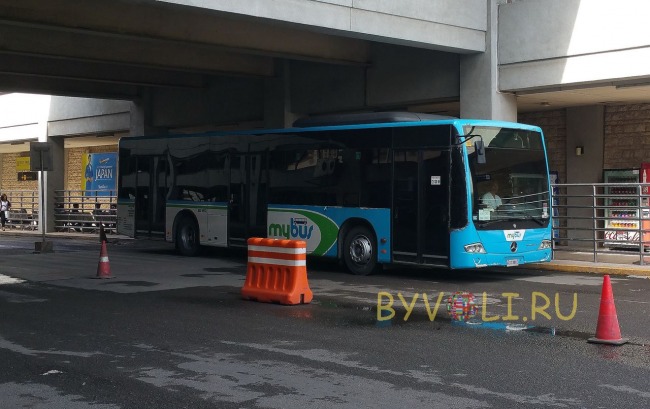 Автобус из аэропорта в город