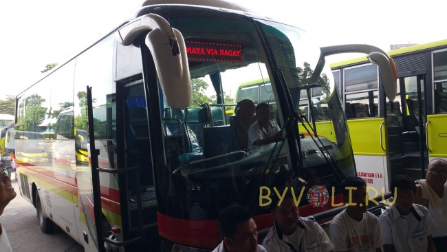 Автобус в Майя
