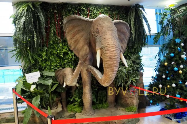 Слон как декорация