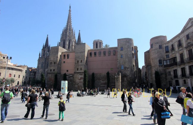 Площадь Нова, Собор Святого Креста, Готический квартал (Барселона)