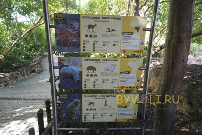 Таблички с информацией о животных