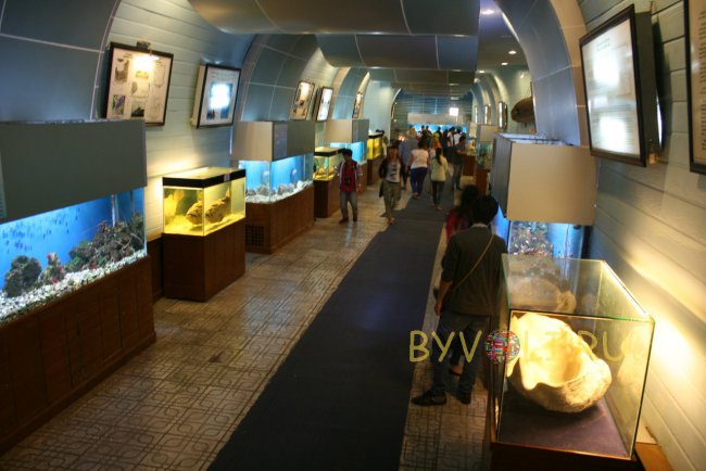 Океанографический музей