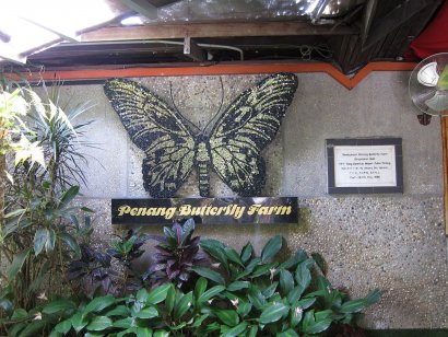 Ферма бабочек