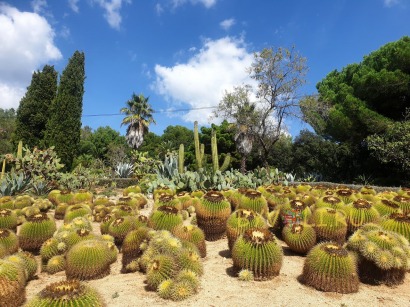 Ботанический сад Пинья де Роса